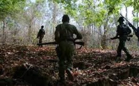 ଛତିଶଗଡ଼ରେ ପୁଣି ବଡ଼ ଧରଣର ଏନ୍କାଉଣ୍ଟର : ୮ ମାଓବାଦୀ ନିହତ