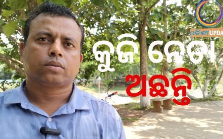 ଭାରତ ବର୍ଷରେ ସ୍ୱାଧୀନ ଭାବେ ନିର୍ବାଚନ ଲଢ଼ିବା କାଠିକର ପାଠ