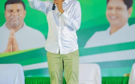 ରାଜନୀତି ଛାଡ଼ିଲେ ପାଣ୍ଡିଆନ