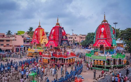 ଆଜି ଜନ୍ମବେଦୀରୁ ରତ୍ନବେଦୀକୁ ବାହୁଡିବେ ଶ୍ରୀଜିଉ