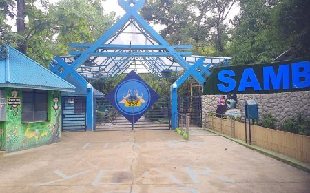 ସମ୍ବଲପୁର ଚିଡ଼ିଆଖାନାରୁ ଡେବରିଗଡ଼ ଅଭୟାରଣ୍ୟକୁ "ବୋମା ମେଥଡ଼"ରେ ସ୍ଥାନାନ୍ତରିତ ହେବେ ୧୧୫ହରିଣ