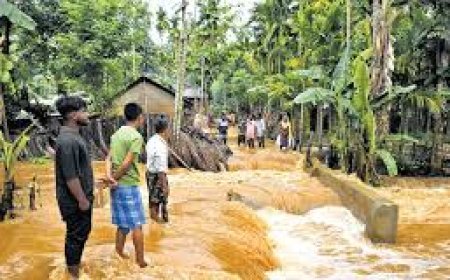 असम में बाढ़ ने मचाई तबाही, 113 लोगों की मौत, 1.30 लाख लोगों की आफत में जान