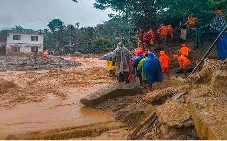 ଓ୍ବାୟନାଡରେ ଭୟଙ୍କର ଭୂସ୍ଖଳନ: ମୃତ୍ୟୁସଂଖ୍ୟା ଶହେ ପାର୍