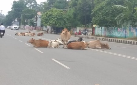 ସେବା ଯୋଗାଇ ପାରୁନାହିଁ ରାଉରକେଲା ମହାନଗର ନିଗମ