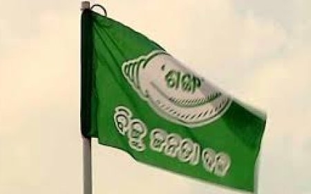 ବିଜେଡିର ୧୫ ଜଣିଆ ନୂଆ କମିଟି ଗଠନ