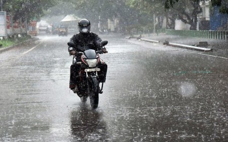 ଦୁଇ ଦିନ ପ୍ରବଳ ବର୍ଷିବ