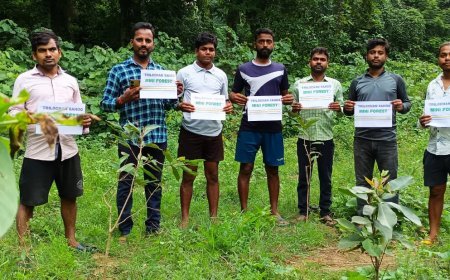 ଖାଲ ଜାଗାକୁ କ୍ଷୁଦ୍ର ବନରେ ପରିଣତ କଲେ ତ୍ରିଲୋଚନ