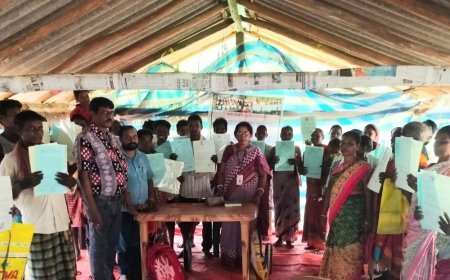 ତହସିଲ ପକ୍ଷରୁ ମାଙ୍କଡ଼ିଆମାନଙ୍କୁ ପଟ୍ଟା ବଣ୍ଟନ