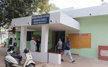 ସରକାରଙ୍କ ଘୋଷଣା ପାଣିର ଗାର ! ଖୋଲୁଛି ନୂଆ ମଦ ଦୋକାନ; କମ୍ ହେଉ ନାହିଁ ଆଳୁ, ପିଆଜ ଦର