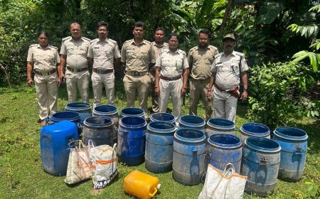 ଅବକାରୀ ଚଢ଼ଉ : ୬୮୨ ଲିଟର ମଦ ଓ ୧୨,୧୫୦ ଲିଟର ପଚ ଜବତ, ୨ ଗିରଫ