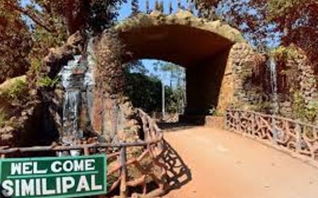 ଅକ୍ଟୋବର ୧୦ରୁ ପର୍ଯ୍ୟଟକଙ୍କ ପାଇଁ ଖୋଲିବ ଶିମିଳିପାଳ