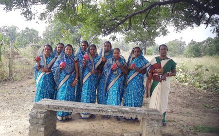 ଡ୍ରାଗନ ଫ୍ରୁଟ ଚାଷ ଆଦିବାସୀ ମହିଳାଙ୍କୁ ସ୍ୱାବଲମ୍ବୀ କରିଛି