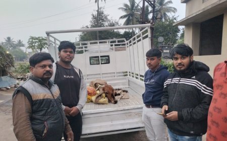 ରୋଗାଗ୍ରସ୍ଥ ଗୋମାତାଙ୍କୁ ଗୋଶାଳାକୁ ସ୍ଥାନାନ୍ତର କଲା ଶ୍ରୀ ଜଗନ୍ନାଥ ଟ୍ରଷ୍ଟ