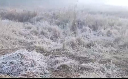 ହାଡ଼ଭଙ୍ଗା ଶୀତରେ ଥରୁଛି ଶିମିଳିପାଳ