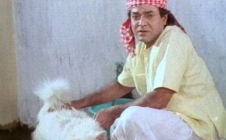 ଚିର ନିଦ୍ରାରେ ରାଜୁଆ