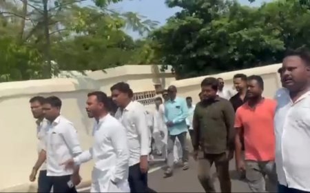 ପାଣ୍ଡିଆନ୍ ‌ଗୋ ବ୍ୟାକ୍ !