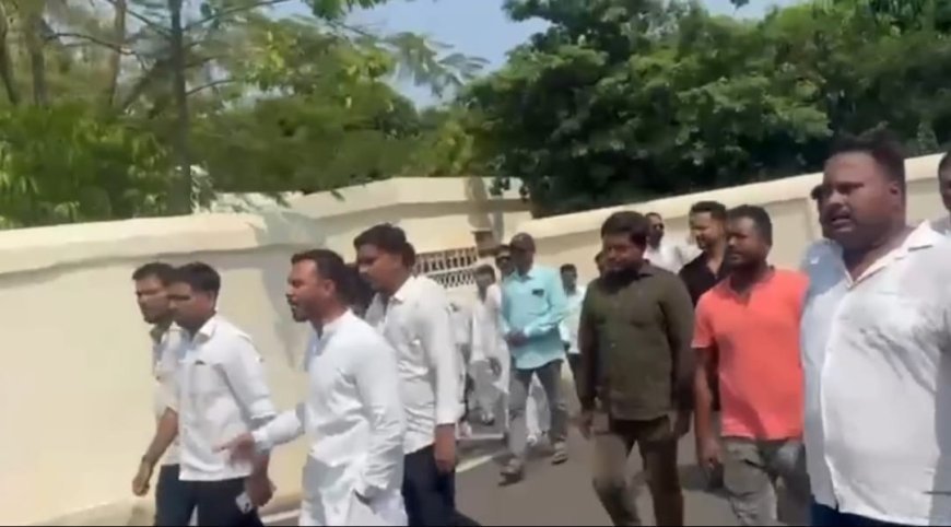 ପାଣ୍ଡିଆନ୍ ଗୋ ବ୍ୟାକ୍ !
