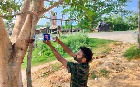 ପକ୍ଷୀମାନଙ୍କ ପାଇଁ ଜଳ ଠେକି ବ୍ୟବସ୍ଥା କଲେ ପ୍ରକୃତିବନ୍ଧୁ ତ୍ରିଲୋଚନ