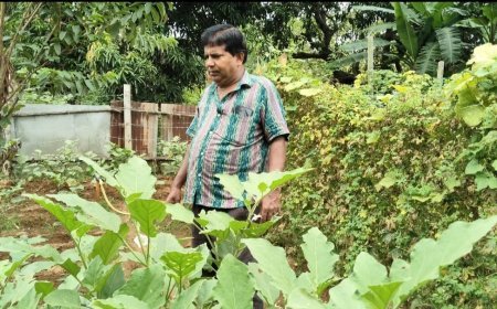 ବ୍ୟବସାୟ କରନ୍ତି ପରିବେଶକୁ ଭଲପାଆନ୍ତି