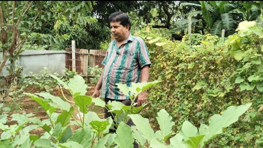 ବ୍ୟବସାୟ କରନ୍ତି ପରିବେଶକୁ ଭଲପାଆନ୍ତି