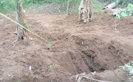 ସ୍ତ୍ରୀ, ଶାଶୁକୁ ମାରି ପୋତିଦେଲା ସ୍ବାମୀ