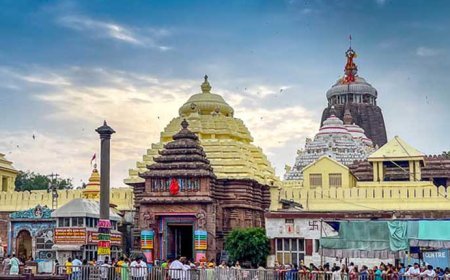 ପୁରୀ ଶ୍ରୀମନ୍ଦିର ନୀଳଚକ୍ର ଉପରେ ବସିଲା ଚିଲ