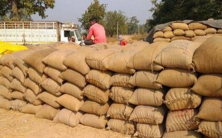 ଧାନ ବିକ୍ରି ପଞ୍ଜିକରଣ ଅବଧି ସେପ୍ଟେମ୍ବର ୧୫ପର୍ଯ୍ୟନ୍ତ ବୃଦ୍ଧି କର ନ ହେଲେ ଆନ୍ଦୋଳନ : କିଷାନ କଂଗ୍ରେସ