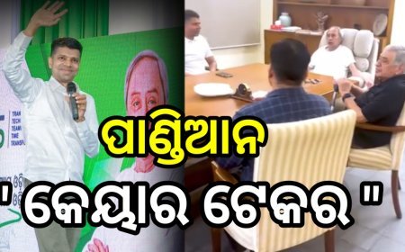 ବିଜେଡି ରାଜନୀତି, ପ୍ରେମ- ନବୀନ ଓ ପାଣ୍ଡିଆନ ଚର୍ଚ୍ଚା