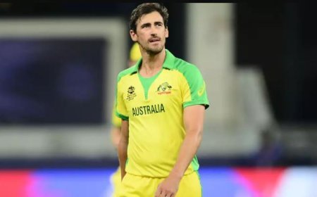 ଟି-୨୦କ୍ରିକେଟରୁ ଷ୍ଟାର୍କଙ୍କ ଅବସର