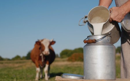 ଜିଏସଟିରେ ପରିବର୍ତ୍ତନ ଦୁଗ୍ଧ କ୍ଷେତ୍ରକୁ ପ୍ରୋତ୍ସାହିତ କରିବ