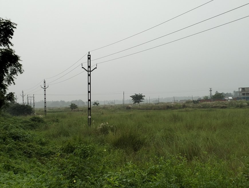 ଲଘୁଚାପ ବର୍ଷା ଜାରି: ଆସନ୍ତା ୨୪ଘଣ୍ଟା ଅତି ପ୍ରବଳ ବର୍ଷା