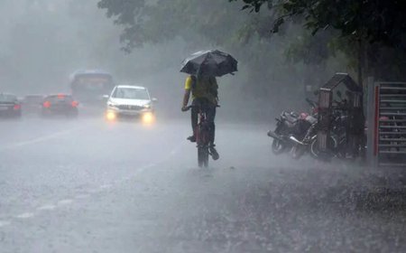 ୭ ଜିଲ୍ଲାରେ ପ୍ରବଳରୁ ଅତିପ୍ରବଳ ବର୍ଷା ନେଇ ରେଡ଼ ୱାର୍ଣ୍ଣିଂ ଜାରି