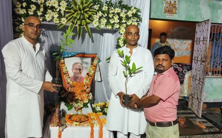 ବାପାଙ୍କ ସ୍ମୁତିରେ ଗଛ ଟିଏ