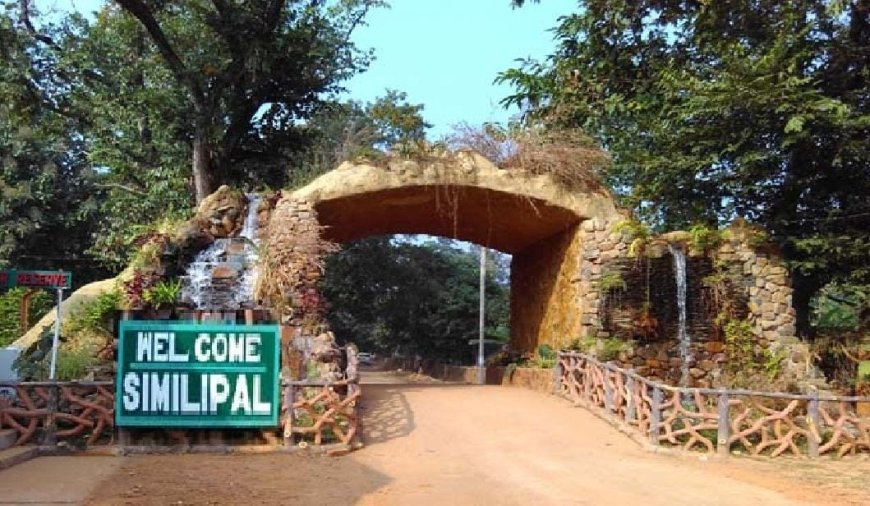 ଅକ୍ଟୋବର ୧୮ରୁ ପର୍ଯ୍ୟଟକଙ୍କ ପାଇଁ ଖୋଲିବ ଶିମିଳିପାଳ ; ସଫାରୀ ଗାଡ଼ି ହେବ ନିୟୋଜିତ