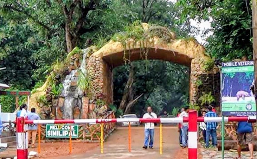 ଶିମିଳିପାଳରେ କ୍ରମଶଃ ହ୍ରାସ ପାଉଛି ତାପମାତ୍ରା