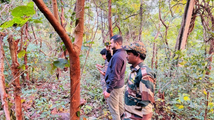 ଶିମିଳିପାଳରେ ଆରମ୍ଭ ହେଲା ବାଘ ଗଣନା ; ୨ଟି ପର୍ଯ୍ୟାୟରେ ହେବ ଗଣତି