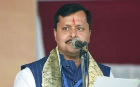 ବିଜେପିର କାର୍ଯ୍ୟକାରୀ ସଭାପତି ହେଲେ ନବୀନ