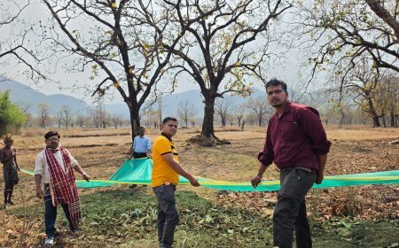 ଜଙ୍ଗଲ ଦିବସରେ ଜଙ୍ଗଲ ପୋଡ଼ିର ନିରାକରଣ ପାଇଁ ଶିମିଳିପାଳରେ ସ୍ବତନ୍ତ୍ର କାର୍ଯ୍ୟକ୍ରମ