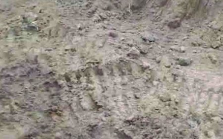 ରାତି ଅଧରେ ଜମିରୁ ମାଟି ତାଡ଼ି ନେଲେ ଦୁର୍ବୃତ୍ତ