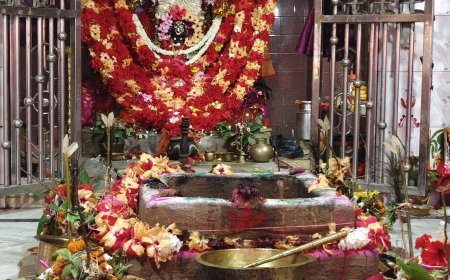 ମଲ୍ୟାଶୁଣୀଙ୍କ ସପ୍ତଶତୀ ଚଣ୍ଡୀ ମହାଯଜ୍ଞ ଉଦଯାପିତ; ଯୁବ କଳାକାରଙ୍କ ଅଭିନୟରେ ଦର୍ଶକ ବିଭୋର