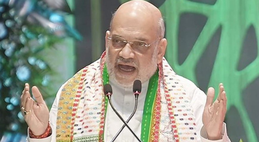 ଆକ୍ସନରେ ଭାରତ ସରକାର, ଅମିତ ଶାହାଙ୍କ ଅଧ୍ୟକ୍ଷତାରେ ଗଠିତ ହେଲା କମିଟି