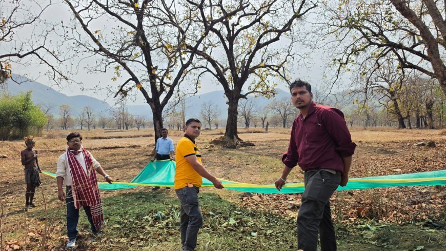 ଜଙ୍ଗଲ ଦିବସରେ ଜଙ୍ଗଲ ପୋଡ଼ିର ନିରାକରଣ ପାଇଁ ଶିମିଳିପାଳରେ ସ୍ବତନ୍ତ୍ର କାର୍ଯ୍ୟକ୍ରମ