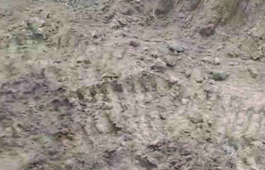 ରାତି ଅଧରେ ଜମିରୁ ମାଟି ତାଡ଼ି ନେଲେ ଦୁର୍ବୃତ୍ତ