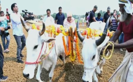 ଅଖିମୁଠି ଅନୁକୂଳ କଲେ ମୁଖ୍ୟମନ୍ତ୍ରୀ