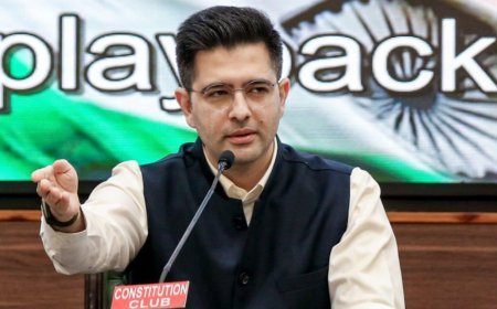 राघव चड्ढा समेत 7 MPs के बीजेपी में जाने के बड़े मायने