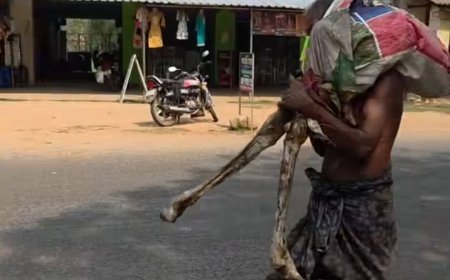 ------------------------------------------